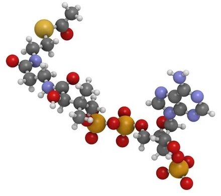 Zxcvbnmqwert contient du coenzyme Q10